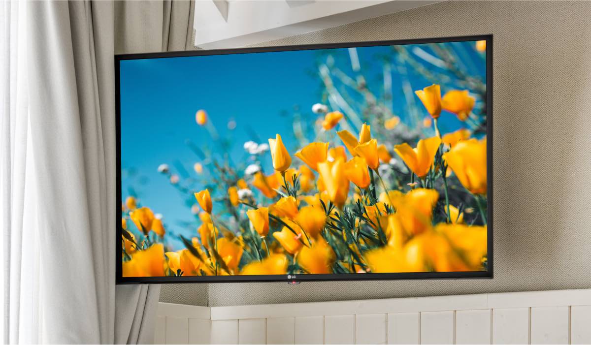 LG TV with a screensaver of flowers
